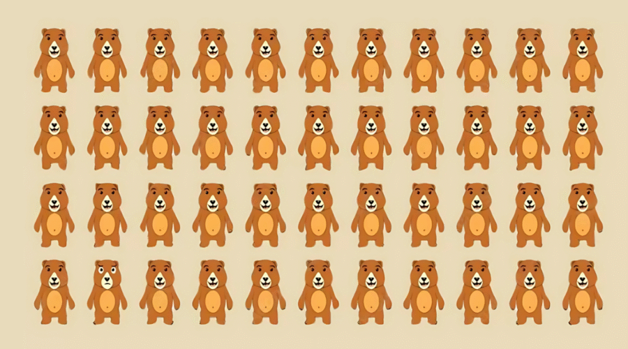 Unique Bear