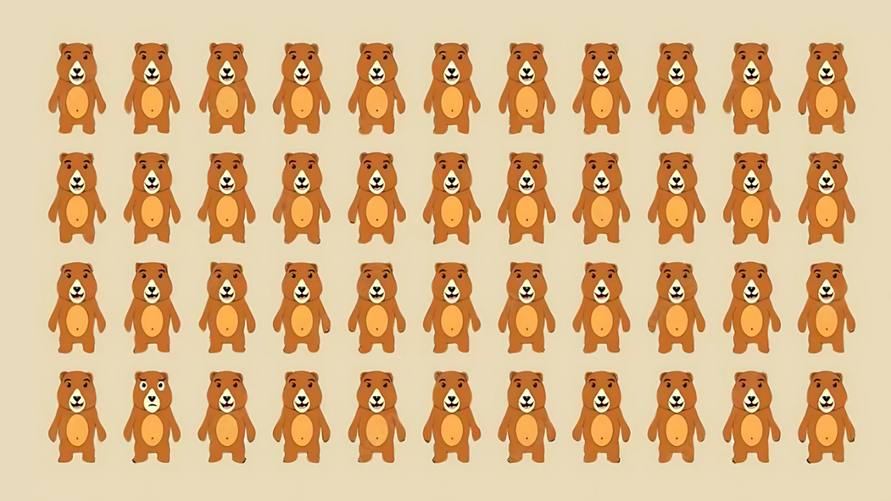 Unique Bear